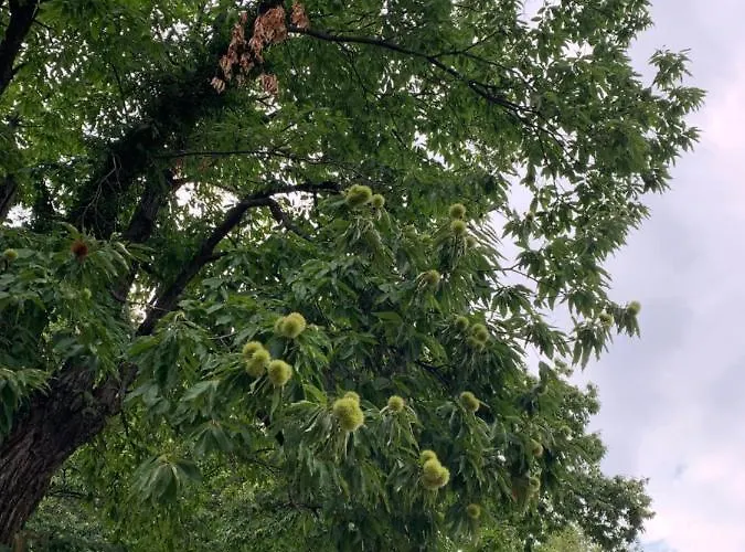 게스트하우스 Karidia