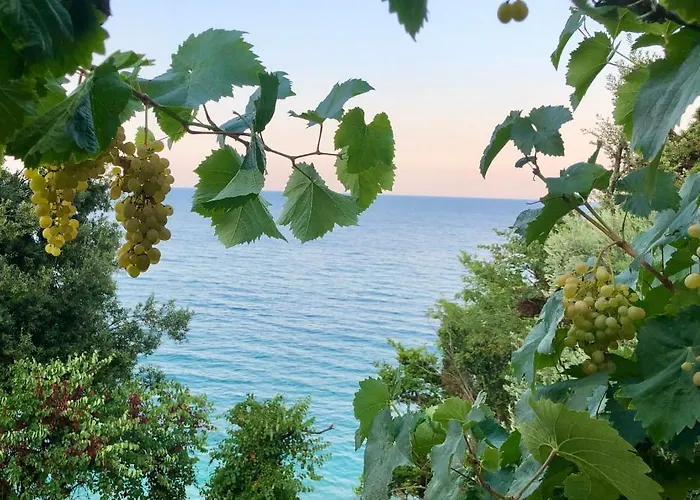 게스트하우스 Karidia 3*