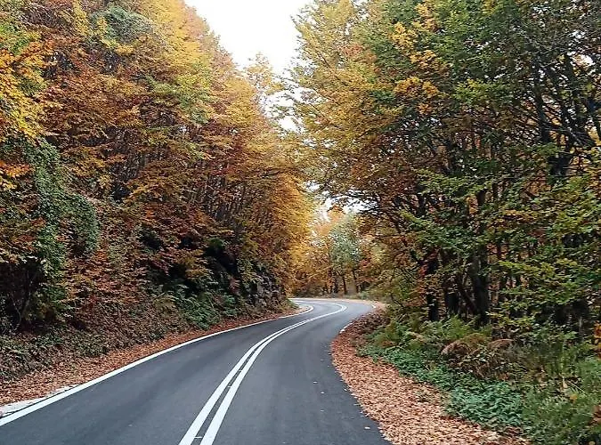 Karidia 3* 키소스