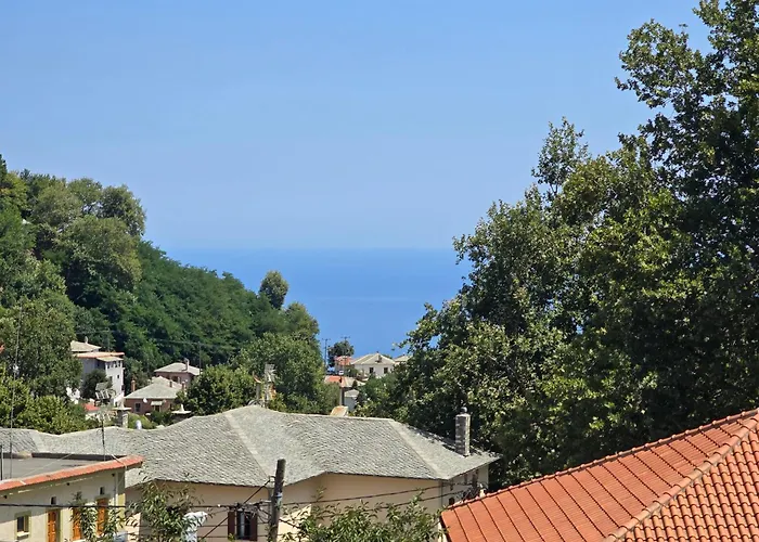 Karidia 게스트하우스